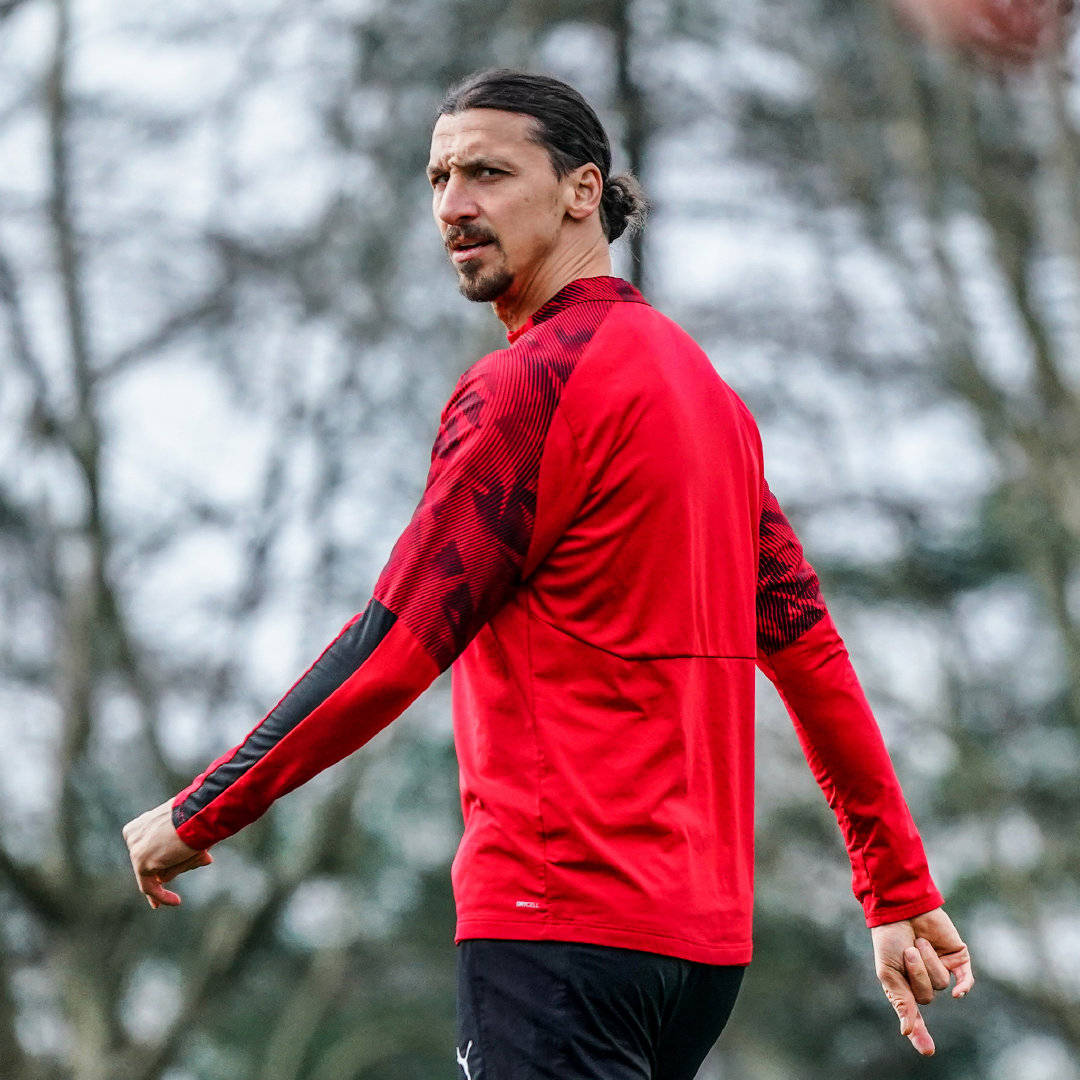 包含转会期丹佛掘金备战意甲；豪取连胜细节曝光；信心回归；球探报告显示潜力的词条